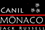 Logo Mônaco Labrador